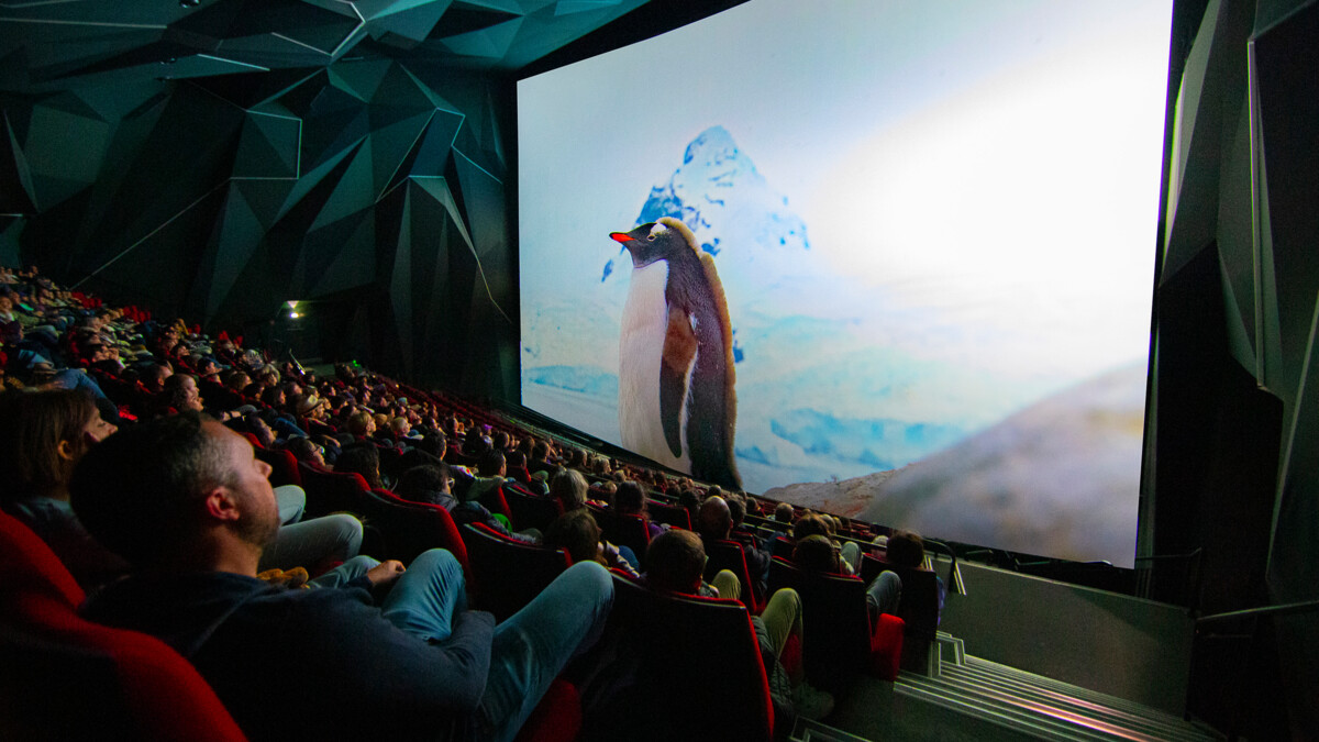 ANTARCTICA_MG_5584-Mod