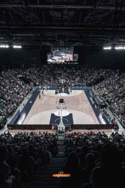 ARENA