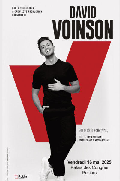 DAVID VOINSON DAVID VOINSON